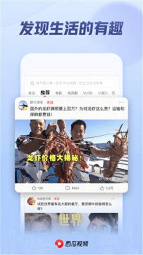 西瓜视频免费,畅享海量精彩内容，轻松解锁观影新体验